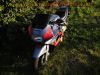 Honda_CBR_600_F_F2_PC25_hellblau_sehr_gepflegt_26tkm_-_wie_PC31__35.jpg