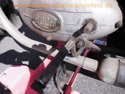 Puch_250_TF_Bj__1952_-_wie_Puch_125_150_175_200_TL_SV_SGS_TFS_33.jpg