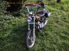 Honda_CA_125_Rebel_JC24_Chopper_Hoch-Lenker_Stahlflex_Sissy-Bar_Satteltaschen_45.jpg