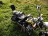 Honda_CA_125_Rebel_JC24_Chopper_Hoch-Lenker_Stahlflex_Sissy-Bar_Satteltaschen_85.jpg