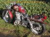 Suzuki_LS_650_SAVAGE_Crashtest_rot_Motor_komplett_4.jpg