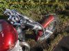 Suzuki_LS_650_SAVAGE_Crashtest_rot_Motor_komplett_43.jpg