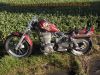 Suzuki_LS_650_SAVAGE_Crashtest_rot_Motor_komplett_5.jpg