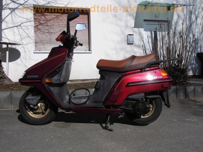 Honda_CH_250_Elite_250_rot_4-Takt_Gross-Roller_-_wie_Spacy_250_CN_250_Helix_31.jpg