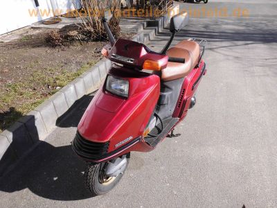 Honda_CH_250_Elite_250_rot_4-Takt_Gross-Roller_-_wie_Spacy_250_CN_250_Helix_36.jpg