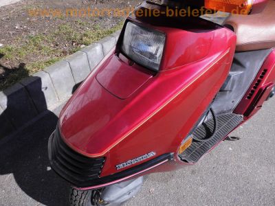 Honda_CH_250_Elite_250_rot_4-Takt_Gross-Roller_-_wie_Spacy_250_CN_250_Helix_40.jpg