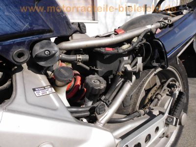 Honda_NTV_650_Revere_RC33_blau_PM_Fehlteile_-_wie_NT_GT_650_V_GT_647_HAWK_RC31_BROS_56.jpg