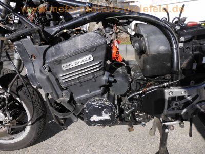 Kawasaki_GPZ_900_R_ZX900A_nackt_mit_Sport-Auspuff_Termignoni_K_900_R_TPSI_2455_Haensle_4-1_gold-eloxiert_-_wie_GPZ_600_750_R_1000_RX_ZX10_52.jpg