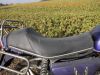 Honda_CX_500_lila_Ur-Guellepumpe_unfallfrei_Giuliari_Sport-Sitzbank_Gepaecktraeger_JAMA_Auspuff_-_wie_CX_400_500_650_E_C_PC01_PC06_18.jpg