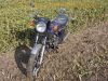 Honda_CX_500_lila_Ur-Guellepumpe_unfallfrei_Giuliari_Sport-Sitzbank_Gepaecktraeger_JAMA_Auspuff_-_wie_CX_400_500_650_E_C_PC01_PC06_48.jpg