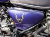 Honda_CX_500_lila_Ur-Guellepumpe_unfallfrei_Giuliari_Sport-Sitzbank_Gepaecktraeger_JAMA_Auspuff_-_wie_CX_400_500_650_E_C_PC01_PC06_56.jpg