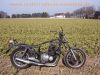 Suzuki_GS_850_G_GS72AD_nackt_Kardan_BSM_4-1_Auspuff_e4_78-1015-91004_-_wie_GS_650_750_1000_1100_E_G_28.jpg