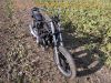 Suzuki_GS_850_G_GS72AD_nackt_Kardan_BSM_4-1_Auspuff_e4_78-1015-91004_-_wie_GS_650_750_1000_1100_E_G_29.jpg
