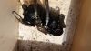 Kawasaki_KZ650B_Ersatzteile_Gabel_Speichenraeder_Motor_Vergaser_25.jpg