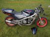 Yamaha_FJ1200_3CW_Superbike-Heck_mit_Sozius-Abdeckung_von_Wagner_Kunststofftechnik_DEVIL_4-1_Auspuff_-_wie_FJ_1100_47E_1XJ_3YA_12.jpg