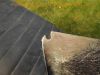 Yamaha_FJ1200_3CW_Superbike-Heck_mit_Sozius-Abdeckung_von_Wagner_Kunststofftechnik_DEVIL_4-1_Auspuff_-_wie_FJ_1100_47E_1XJ_3YA_65.jpg