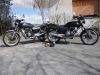 Honda_CB_400_N_letzte_Baureihe_1983_Motad_2-1_Auspuff_6-Speichen-Felgen_2.jpg