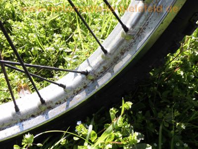 Yamaha_DT_125_E_1G0_1GO_Twin-Shock_Enduro-Klassiker_Scrambler_-_wie_RS_RX_YZ_RT_DT_TY_80_100_125_175_250_E_DX_MX_AT2_1G0_CT1_1G1_1K6_1Y8_12N_541_37.jpg