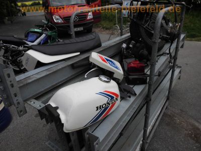 Honda_CY_50_weiss_Ersatzteile_Tank_Sitzbank_Lenker_Schalter_Heckteil_Rahmen_mit_Brief_Papieren_Tacho_Fender_Schutzblech_1.jpg