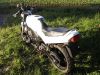 Suzuki_GS_500_E_GM51B_weiss_46PS_34kW_Stahlflex_SEBRING_Evolution_Sport-Auspuff_39.jpg