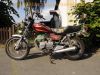 Kawasaki_KZ_Z_305_LTD_US-Chopper_weinrot_kurze_US-Fender_Speichenraeder_-_wie_EX_GPZ_Z_KZ_CSR_250_305_400_440_550_650_750_1000_E_J_LTD_24.jpg
