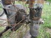 MZ_RT_125_IFA_RT_125_1957_VEB_Motorradwerke_Zschopau_Wrack_Rahmen_Gabel_Raeder_-_wie_DKW_RT_125_9.jpg