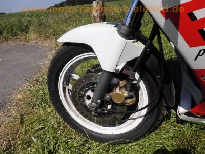 Yamaha_FZ_750_Genesis_2KK_rot-weiss_4-1_Auspuff_-_wie_1FN_FZR_600_750_1000_Exup_51.jpg