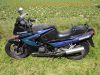 Kawasaki_GPX_600_R_ZX600D_schwarz-blau_30tkm_Sturz_Karl_-_wie_GPZ_GPX_600_750_900_R_44.jpg