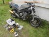 Yamaha_TDM_850_3VD_TWIN_Rat-Bike_Streetfighter_Motor_OK_Sport-Auspuff_2-1_2in1_SEBRING_Enduro_T_29065_Spiegler_Stahlflex_Ochsenaugen_4.jpg