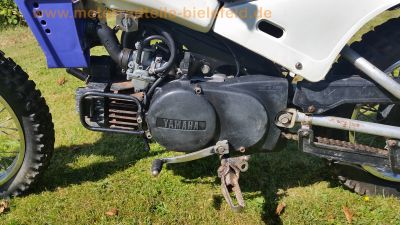Yamaha_PW_80_4BC_Kinder-Cross_original_weiss-blau_-_wie_PW50_TTR90_TTR110_YZ80_36.jpg