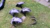 Suzuki_GSX-R_1100_W_GU75C_Ersatzteile_spare-parts__-_Motor_Vergaser_Verkleidung_engine_fairing_wie_GSXR_750_1100_W_123.jpg