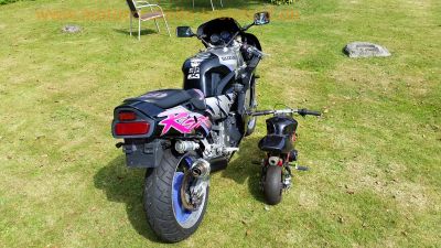 Pocket-Bike_Mini_Race-Bike_neu_Seilzugstarter_26.jpg