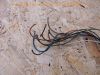 Yamaha_RD250_1A2_353_522_Zweitakt-Zweizylinder_Ersatzteile_spare-parts_wie_RD_TZ_DT_125_200_250_350_131.jpg