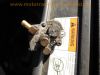 Filename=Suzuki_AY50_LC_Roller_Katana-R_wassergekuehlt_blau-weiss_59.jpg
Filesize=420KiB
Dimensions=1440x1080
Date added=Nov 30, 2015 Suzuki_AY50_LC_Roller_Katana-R_wassergekuehlt_blau-weiss_59.jpg