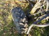 FX150_China-Quad_ATV_4x2_NEU_19.jpg