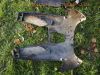 Peugeot_JetForce_C-Tech_50_2007_blau_Unfall_-_wie_Jet-Force_50_125_TSDI_EFI_13.jpg