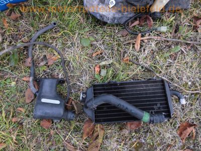 Honda_MTX200R_MD07_zerlegt_Ersatzteile_Rahmen_Verkleidung_Gabel_Motor_Raeder_Auspuff_uvm_-_wie_MTX125R_JD05_92.jpg