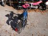 Romet_Super_Sport_PONY_50_M2_blau_Mini-Mokick_-_wie_Honda_DAX50_CY50_oder_Yamaha_Bop_26.jpg