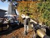 Honda_GL1100_SC02_Goldwing_gold_ohne_Motor_original_Verkleidung_3x_Koffer-System__-_wie_GL1000_GL1_GL2_GL1200_76.jpg