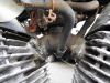 Yamaha_XV125_Virago_5AJ_Chopper_Ratbike_ROST_Gepaecktraeger_-_wie_XV250_3LS_3LW_XV535_3BR_2YL_23.jpg