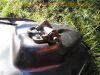 Suzuki_GSXR1100W_GSX-R_1100_GU75C_original_schwarz_unfallfrei_USD-Gabel_-_wie_GSX-R_750_W_70.jpg