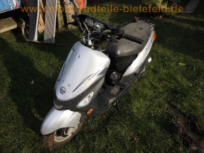 REX_RS450_Street_Roller_grau-silber_Modell_QM50QT-6_Motor_139QMB_16.jpg