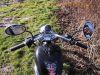 Gilera_Eaglet_50_Chopper_Typ_503_6-Gang_Schaltgetriebe_80kmh_10.jpg