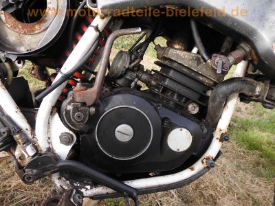 Fantic_Oasis_50_1_FM238_Enduro_Mokick_50kmh_Akront_Alu-Felgen_21x16_18x16_-_wie_Trial_50_Raider_50_1_Caballero_50RC_80RC_Koala_50_80_30.jpg
