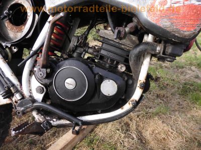 Fantic_Oasis_50_1_FM238_Enduro_Mokick_50kmh_Akront_Alu-Felgen_21x16_18x16_-_wie_Trial_50_Raider_50_1_Caballero_50RC_80RC_Koala_50_80_35.jpg