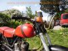 Goericke_100S_Oldtimer_Mokick_1957_Goerickewerke_Bielefeld_mit_5PS_Fichtel_+_Sachs_Motor_100-3_97ccm_41.jpg