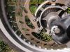 Yamaha_XT125X_CRASH_XT125SM_Super-Moto_SuMo_Malaguti_ZJM74_Motor_M3D6A_-_wie_Enduro_Yamaha_XT125R_YBR125_Derbi_Senda_125_Rieju_SMX125_19.jpg