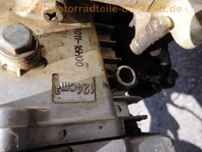 Skyteam_125_Enduro_Vollcross_Pitbike_fuer_Kinder_CRASH_mit_Honda_DAX_Lizenzbau_Motor_-_ideal_für_Tuning_DAX_Monkey_SS50_35.jpg