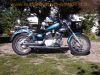 Yamaha_XV250_Virago_3LW_Chopper_gruen_HAGON_Federbeine_Sissy-Bar_Gepaecktraeger_-_wie_3LS_XV_125_535_750_5AJ_2YL_3BR_5G5_40.jpg