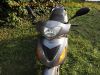 Tauris_Rumba_125_Grossrad-Roller_Scooter_4-Takt_-_wie_Avenida_Broadway_Capri_Strada_Fiera_Cubana_City-Roller_7.jpg